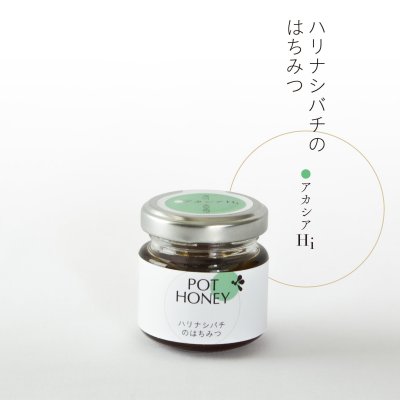 ハリナシバチの蜂蜜【pot honey】アカシアHi 45g