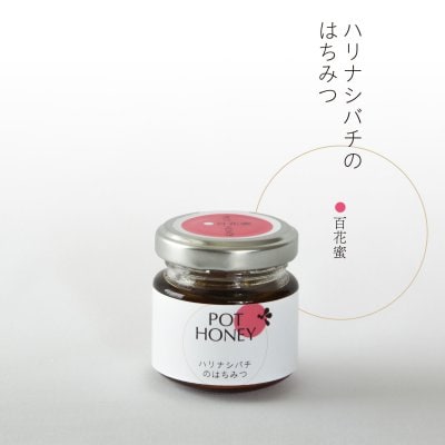 ハリナシバチの蜂蜜【pot honey】百花蜜 45g