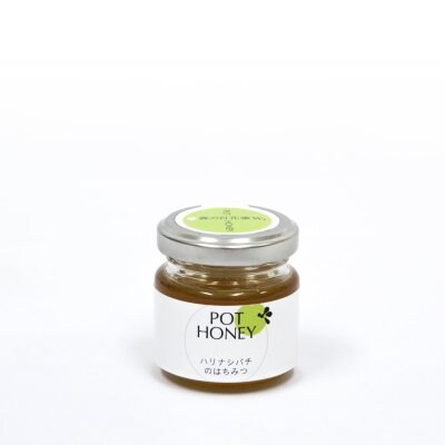 ハリナシバチの蜂蜜【pot honey】森の百花蜜 45g