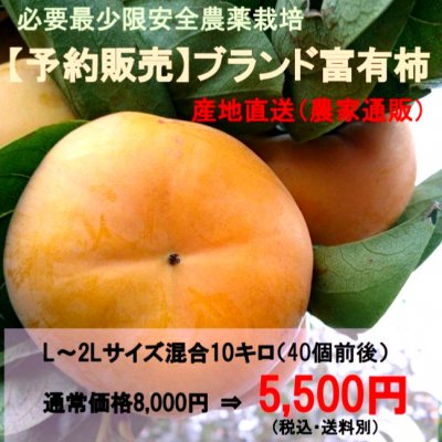 ブランド富有柿L~2Lサイズ混合40個前後(約10kg)|予約受付/産地直送(農家通販)/発送時期11月初旬より順次発送/必要最少限安全農薬栽培//奈良県下市産