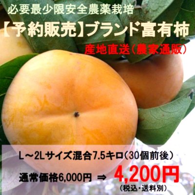 ブランド富有柿L~2Lサイズ混合30個前後(約7.5kg)|予約受付/産地直送(農家通販)/発送時期11月初旬より順次発送/必要最少限安全農薬栽培/奈良県下市産