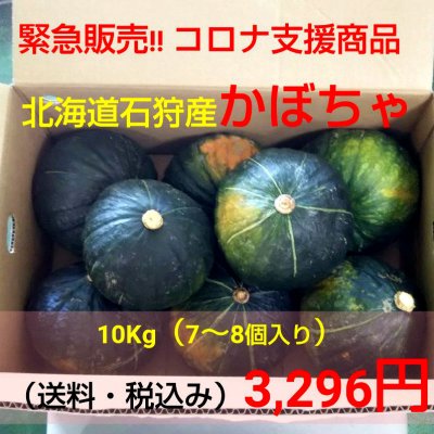 【数量限定】コロナ支援商品|北海道石狩産かぼちゃ/1箱10キロ入り3296円(税込)/農家販売