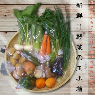 野菜通販•新鮮!!野菜の玉手箱|農家だからできる安心野菜の詰め合わせセット|予約販売専用