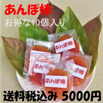 【完売御礼】吊るし柿(あんぽ柿)10個入り/送料無料/数量限定
