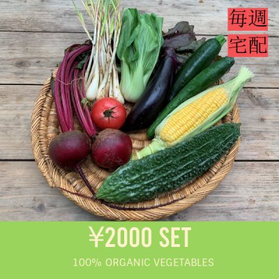 ★翌月スタート★ 野菜セット定期購入【毎週配達:2000円セット+宅配料600円】