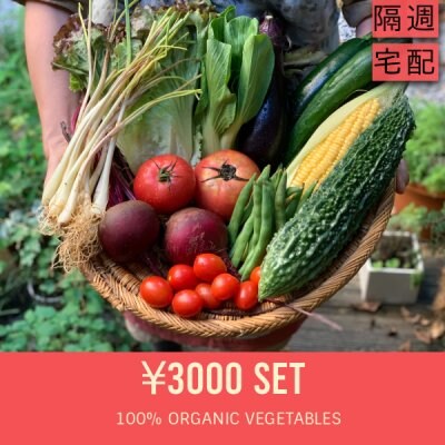 8月スタート分【隔週】【宅配】ベジんちゅ定期便3000円セット+宅配料500円×2週分