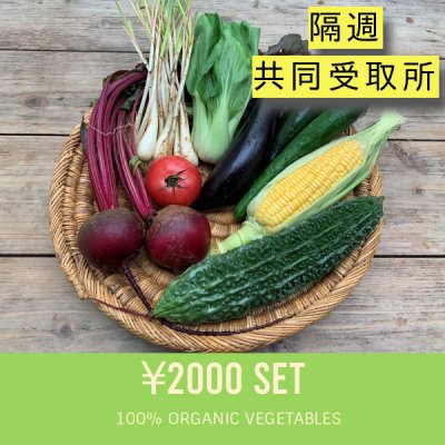 ★翌月スタート★ 野菜セット定期購入【隔週受取り:2000円セット+共同受取所300円】