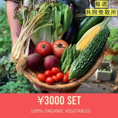 ★翌月スタート★ 野菜セット定期購入【毎週受取り:3000円セット+共同受取所300円】