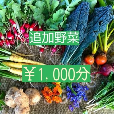 野菜セット追加1000円分【ベジんちゅ会員限定】
