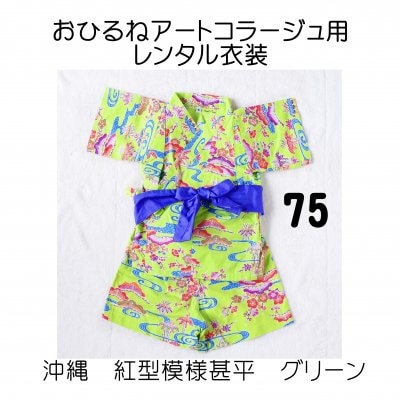 おひるねアートコラージュ用レンタル衣装 グリーン・75サイズ