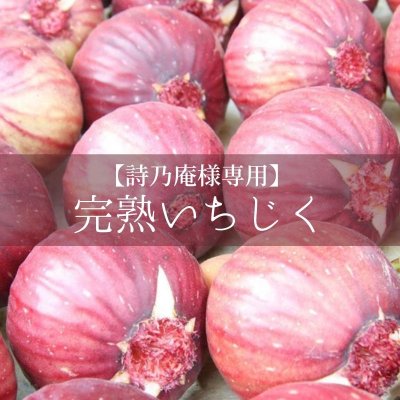 【詩乃庵様専用】完熟いちじく