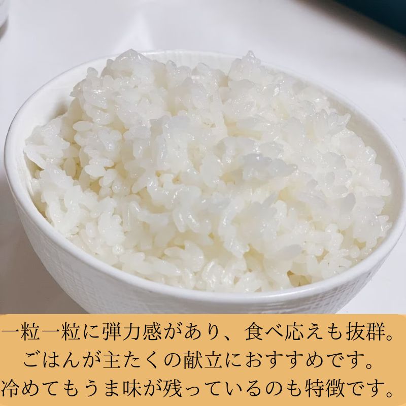 愛知のお米　こしひかり10kg Amazon.co.jp: 令和6年産 精白米 愛知県産こしひかり 10kg(5kg×2