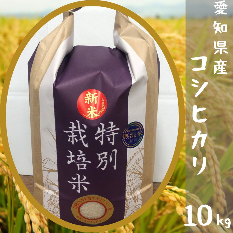 愛知のお米　こしひかり10kg Amazon.co.jp: 令和6年産 精白米 愛知県産こしひかり 10kg(5kg×2