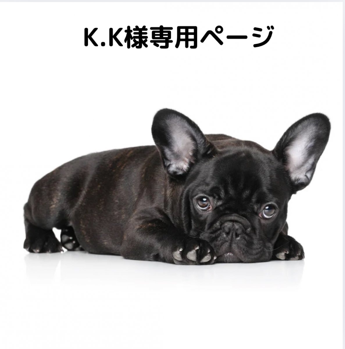 いぬ様専用 【公式通販】