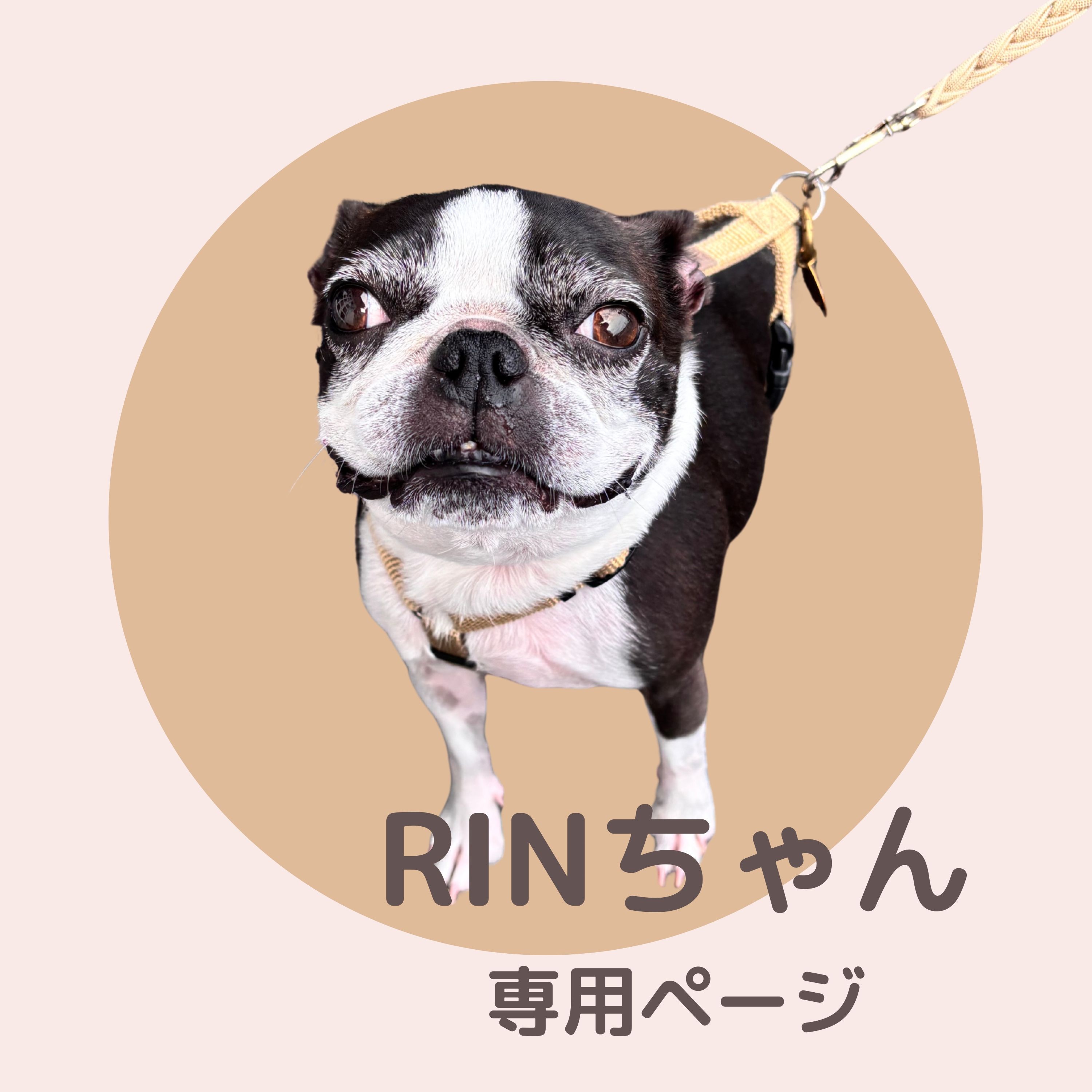 販売済み 林さん専用 林さん専用 PENTAX FA 31mm f/1.8 レンズ 林さん