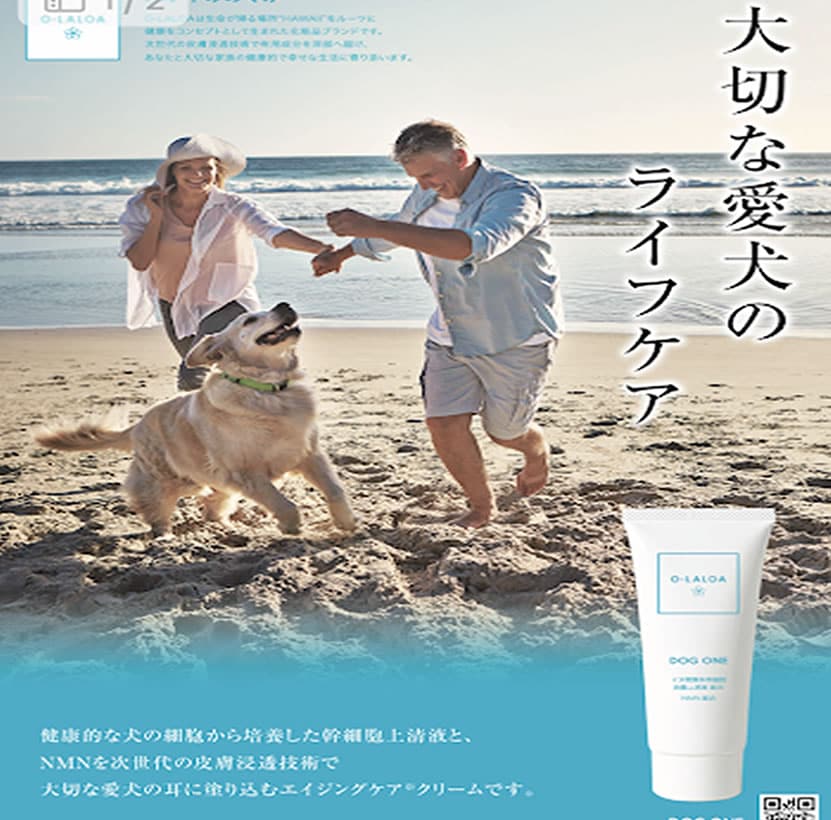 イヌ幹細胞　エイジングケアクリーム 愛犬にNMNの入ったエイジングケアクリームDOG ONE