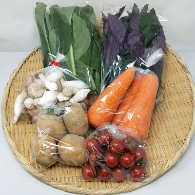 【定期便:月1回】【農産スタッフが選ぶ!】うるま市中心おまかせ野菜・果物セット(80サイズ)
