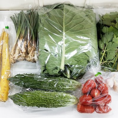 【送料無料】うるま市産おまかせ農水産物セット(80サイズ)