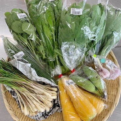 【限定30名様】【お試し】【定期便:月1回】【農産スタッフが選ぶ!】うるま市中心おまかせ野菜・果物セット(80サイズ)