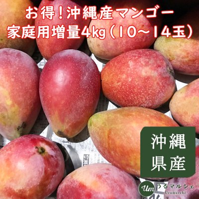 【7月上旬順次発送】お得!沖縄産マンゴー家庭用増量4㎏(10〜14玉)