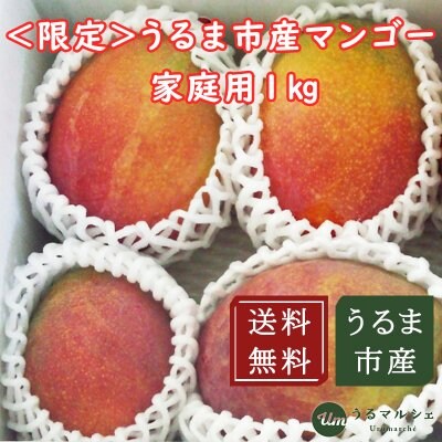 【50名様限定送料無料】【6月下旬〜発送】うるま市産家庭用マンゴー1キロ