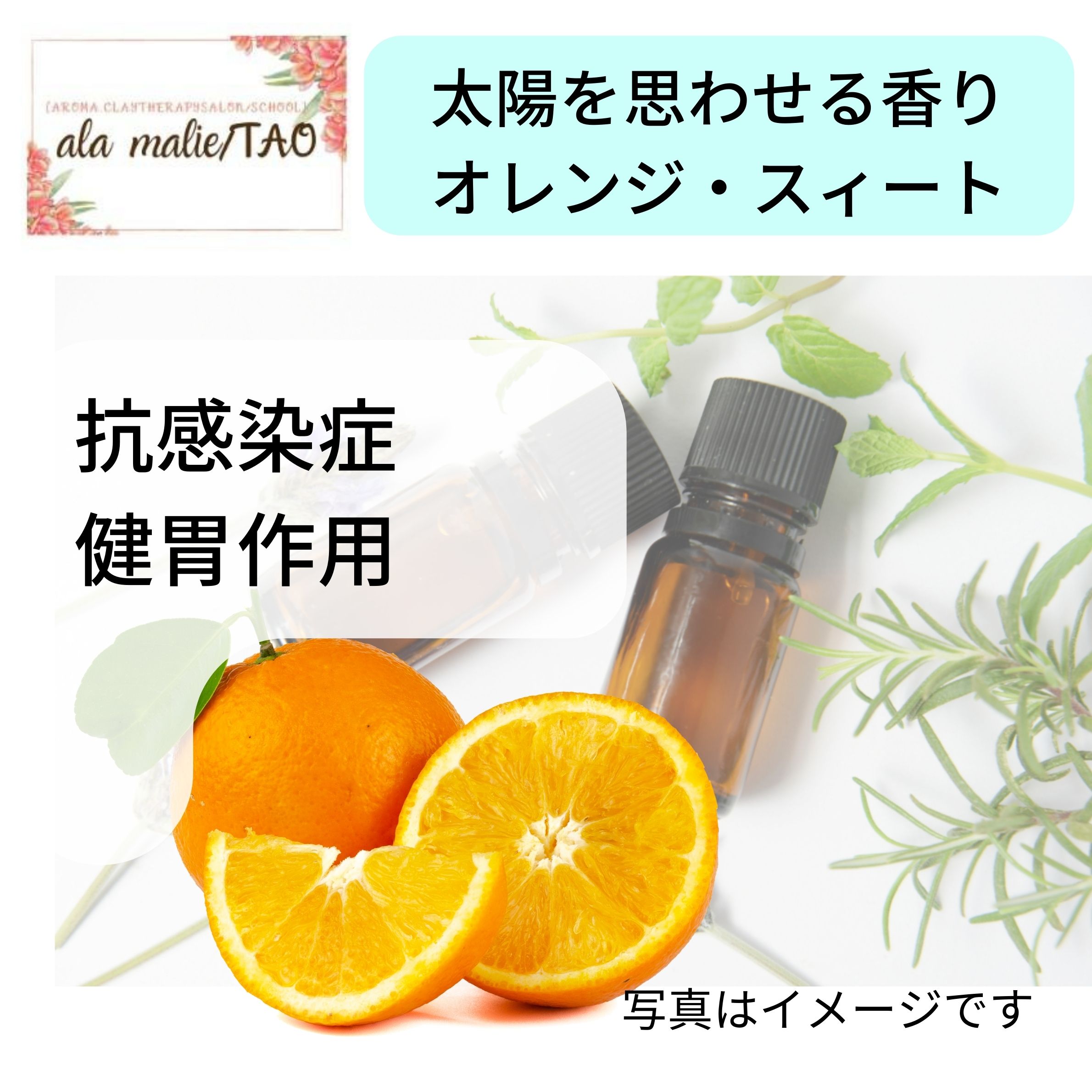 オレンジ・スィート精油／[ala malieアラ・マーリエ] [TAOタオ