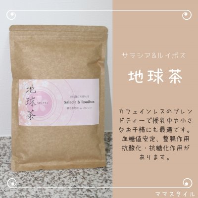 地球茶 < アースティー> (めっちゃ好きっ茶)サラシア × ルイボス 30パック/1袋