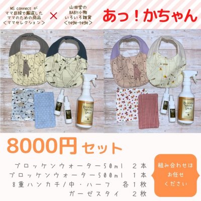【ギフト:あっ!かちゃん】8000円セット