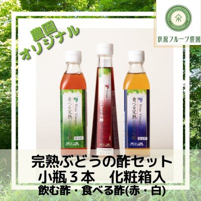 完熟ぶどうの酢セット 小瓶3本 化粧箱入 （送料別）【萩原フルーツ農園】