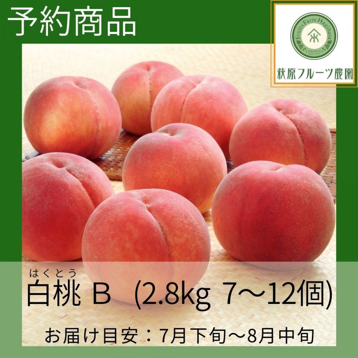 【予約商品】山梨・白桃(はくとう)系の桃 ≪箱サイズを選択してください≫ (全国一律送料・税 込み) 【萩...