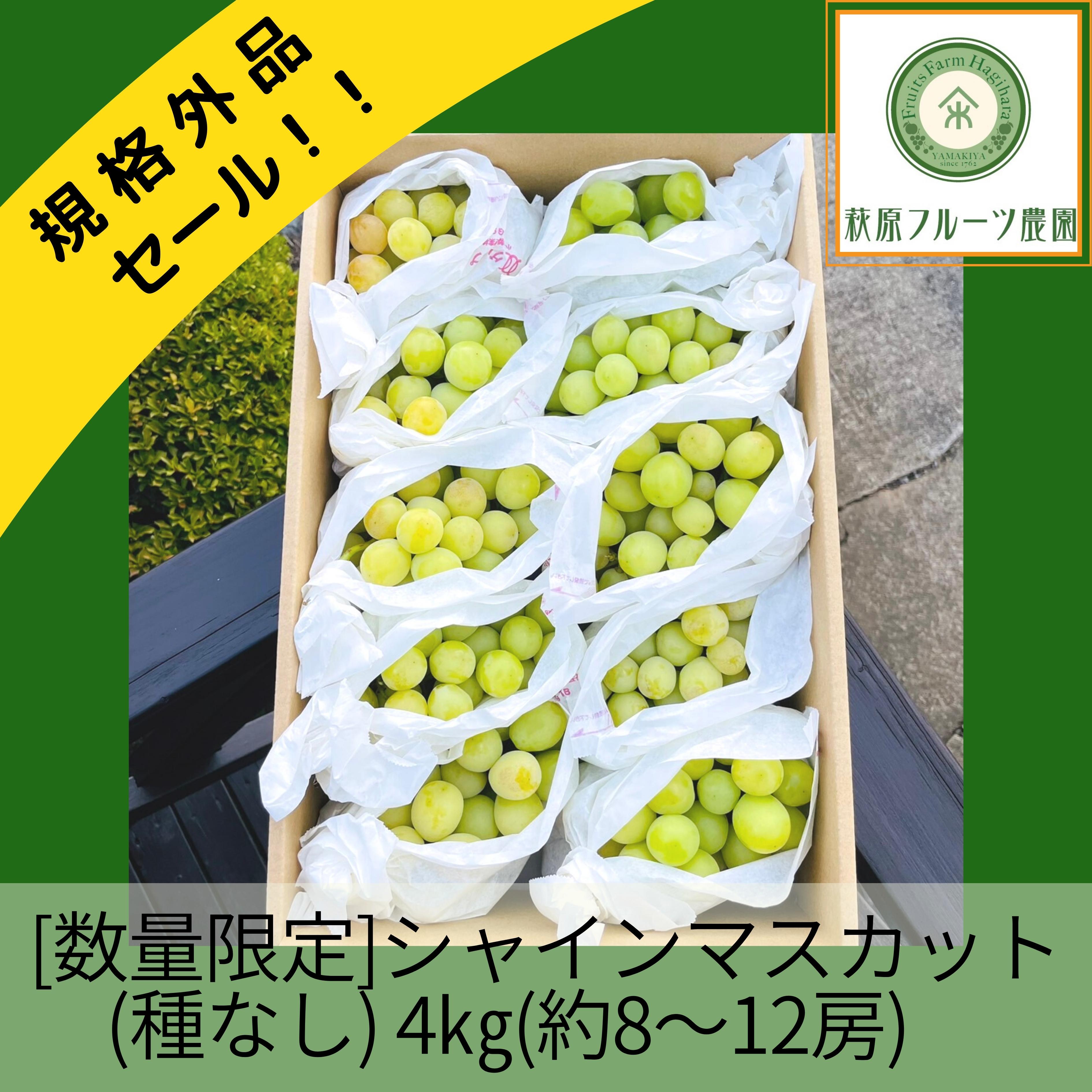 数量限定】規格外品セール！！ シャインマスカット(種なし) 約4㎏(約 