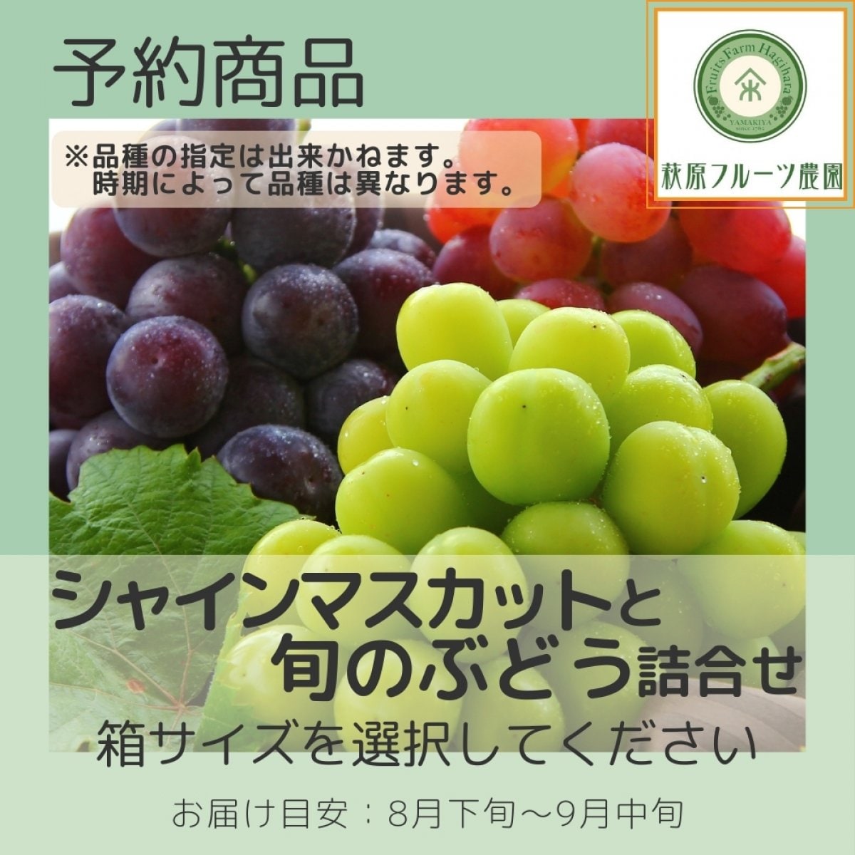 【予約商品】山梨・シャインマスカットと旬のぶどう詰合わせ ≪箱サイズ...