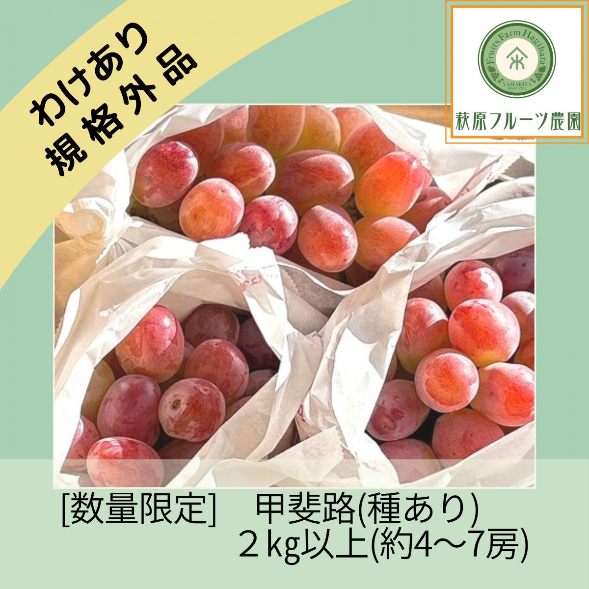 【数量限定】規格外品セール甲斐路(種あり) ２㎏以上！ (約5〜７房) ノ...