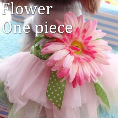 【ドッグウェア】愛犬のためのギフトに☆大きなお花が付いたフラワーワンピースです♪ ハロウィン コスプレ 犬 小型犬 かわいい オシャレドッグウェア 犬 犬服 ワンピース フラワーモチーフワンピ 白 ホワイト(mg-0120)