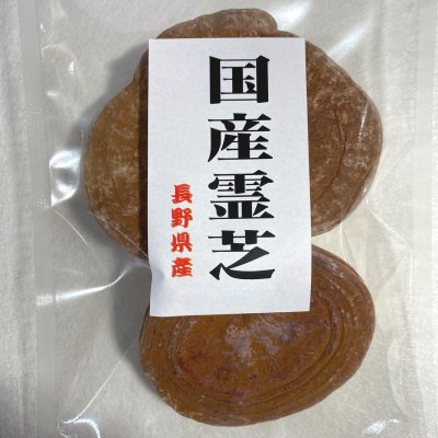 国産霊芝 80g5パックセット 【特割企画】 長野県産マンネン茸