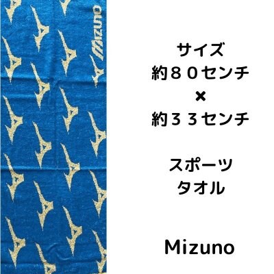 応援企画 Mizuno 青 タオル【郵送専用】