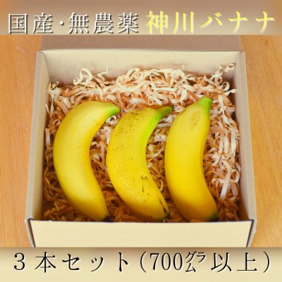 【8月〜販売開始!】国産・無農薬バナナ3本セット(700g以上) 高級バナナおためしに!