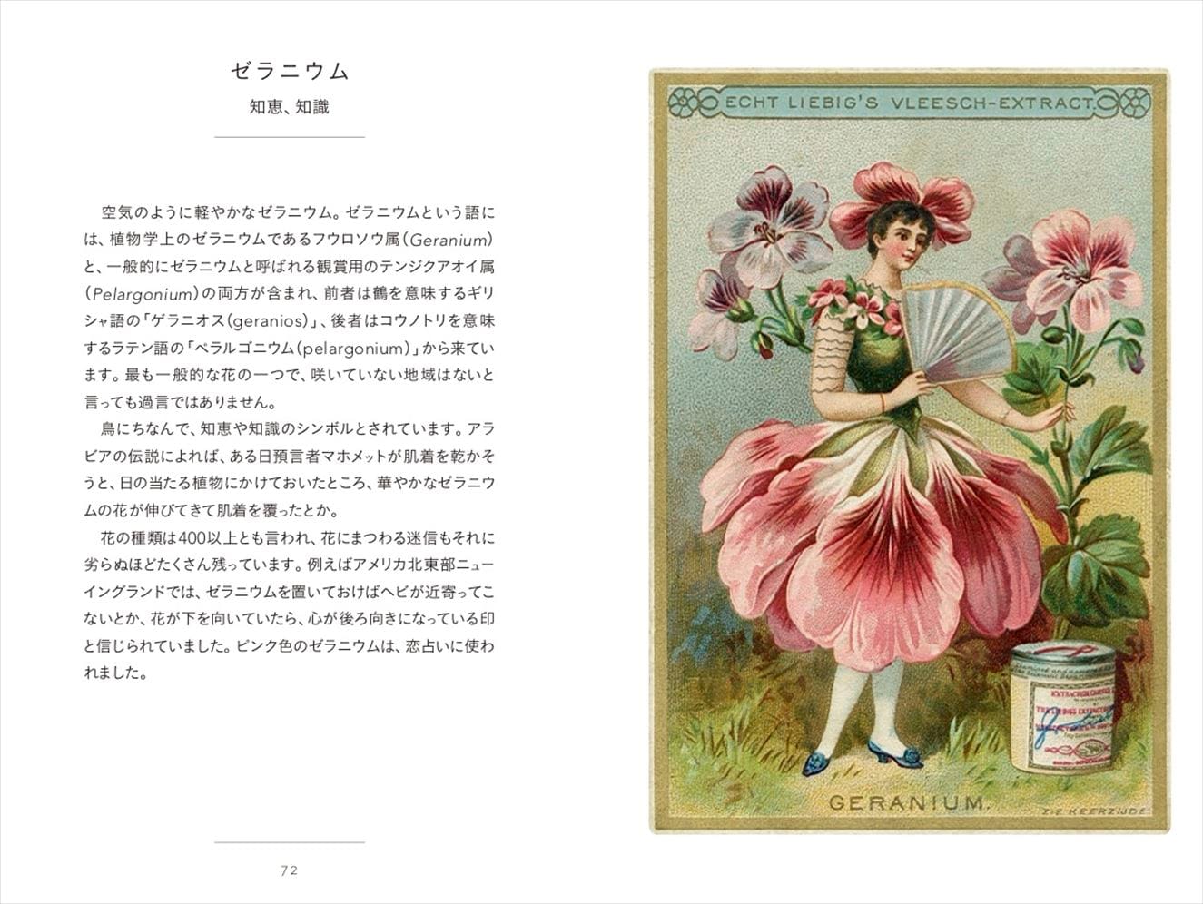 書籍】ちいさな手のひら事典 花言葉