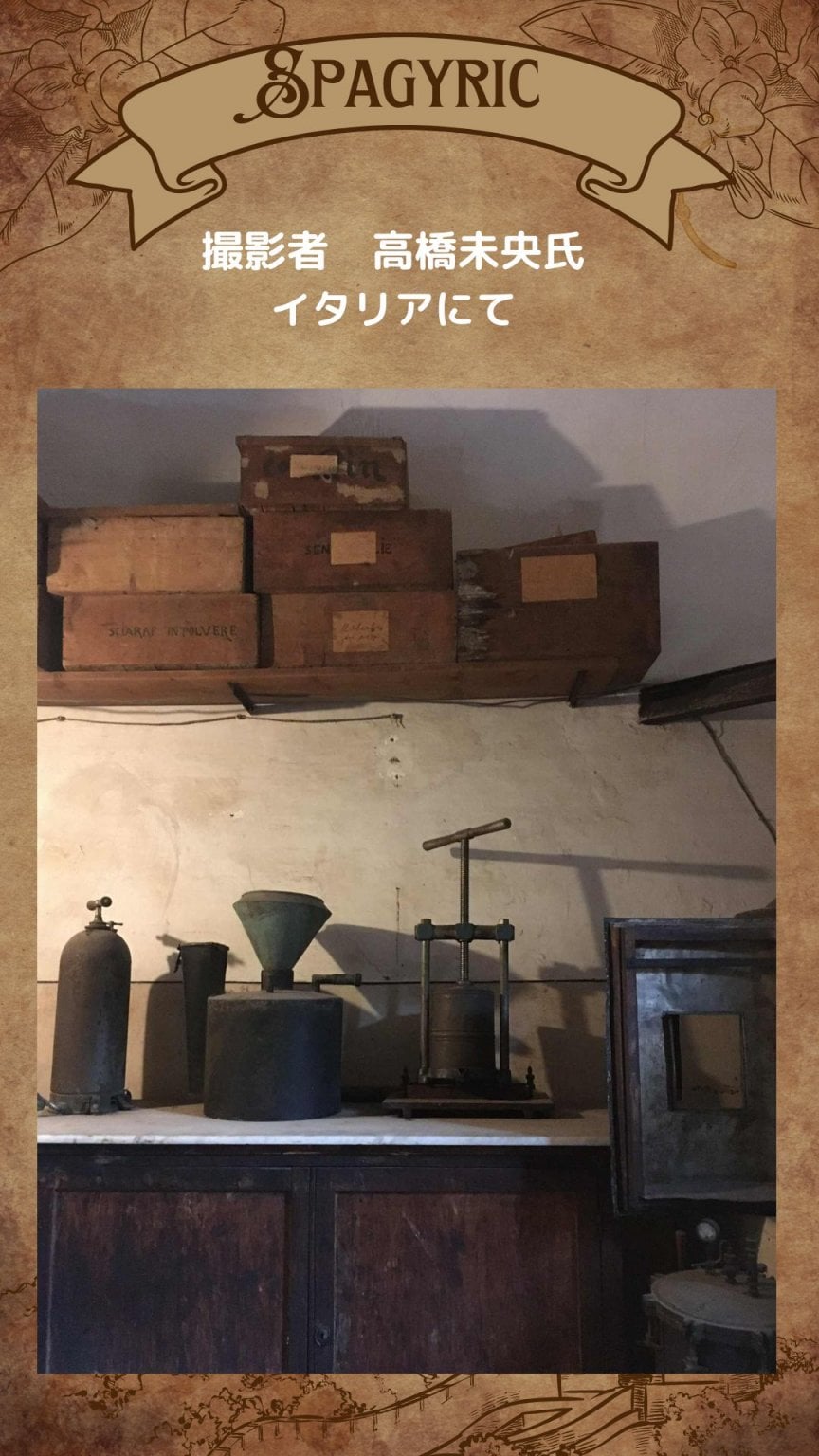 西洋ルネサンスの錬金術師　パラケルススの植物療法