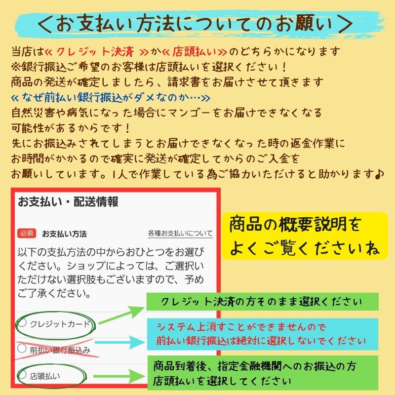 自宅用＞2㎏(4〜6玉) 石垣島たけしのマンゴー ※支払い方法は商品概要をよくご覧ください