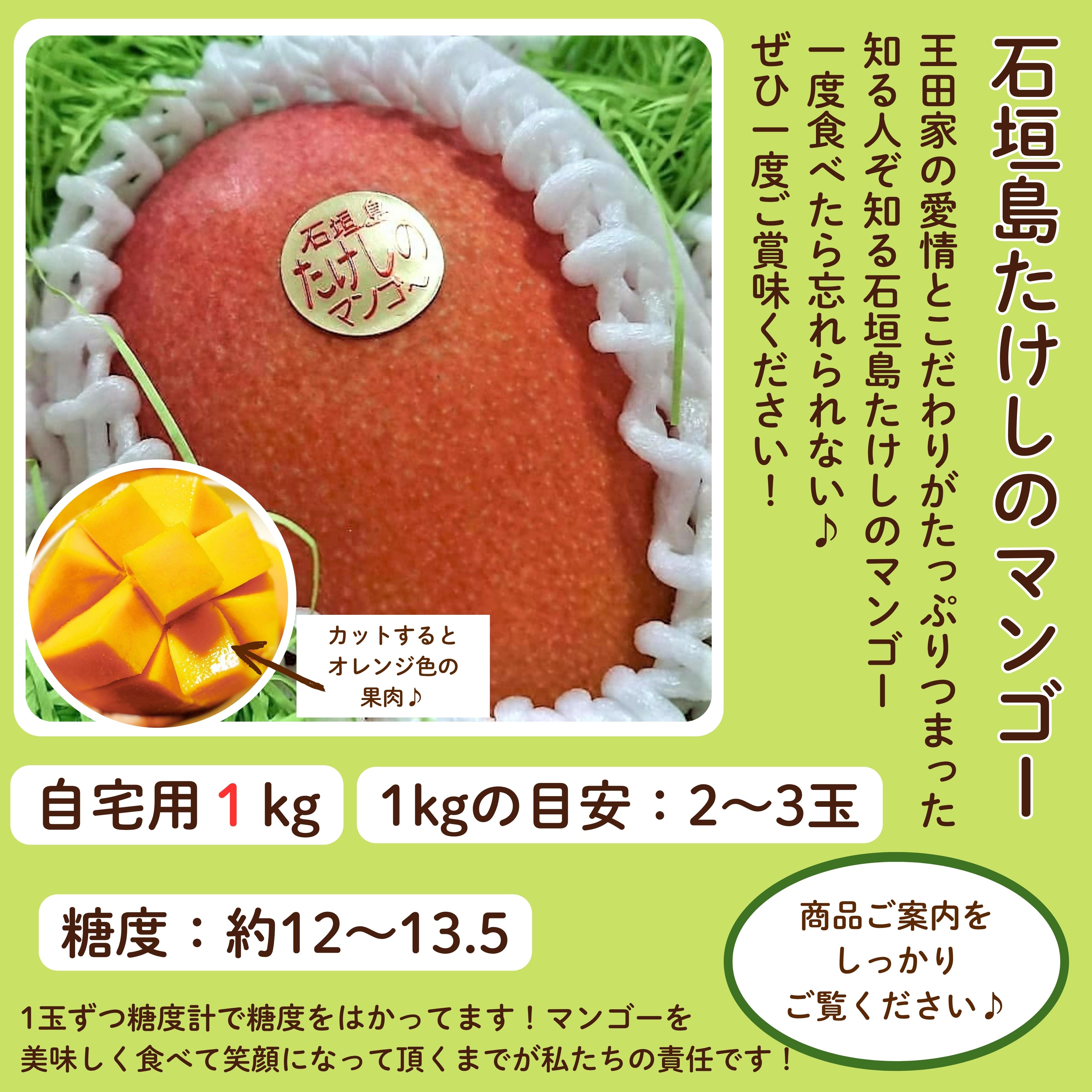 自宅用＞1㎏（2〜3玉）石垣島たけしのマンゴー ※支払い方法は