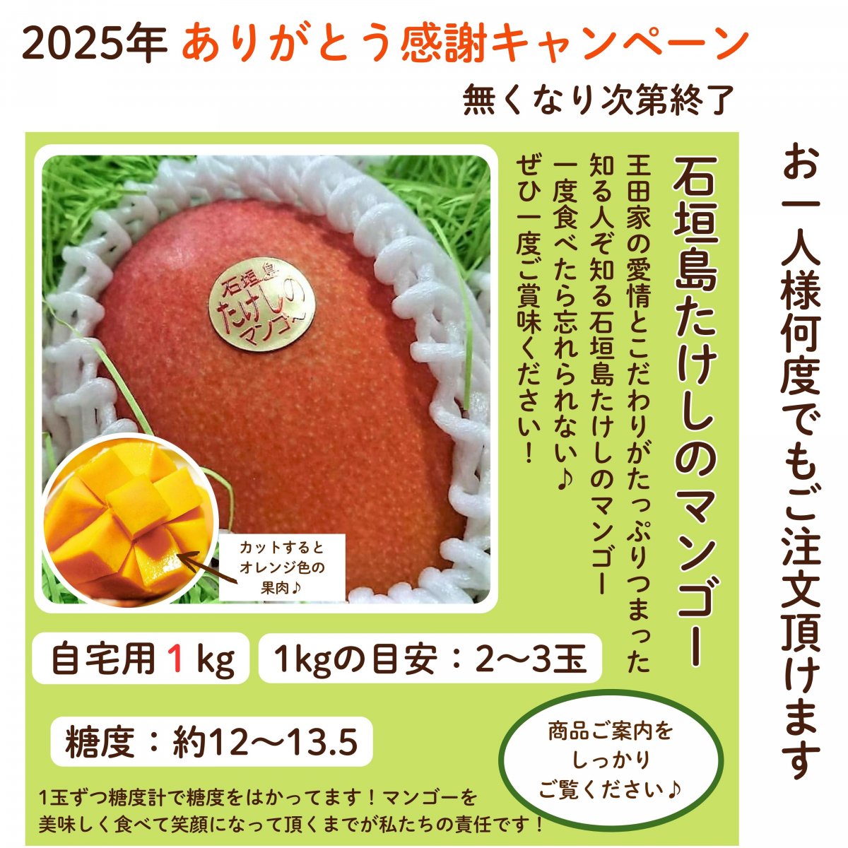 採果マンゴー 20kg 採果マンゴー 20kg 採果マンゴー 20kg Blue Turtle Farm & Mango