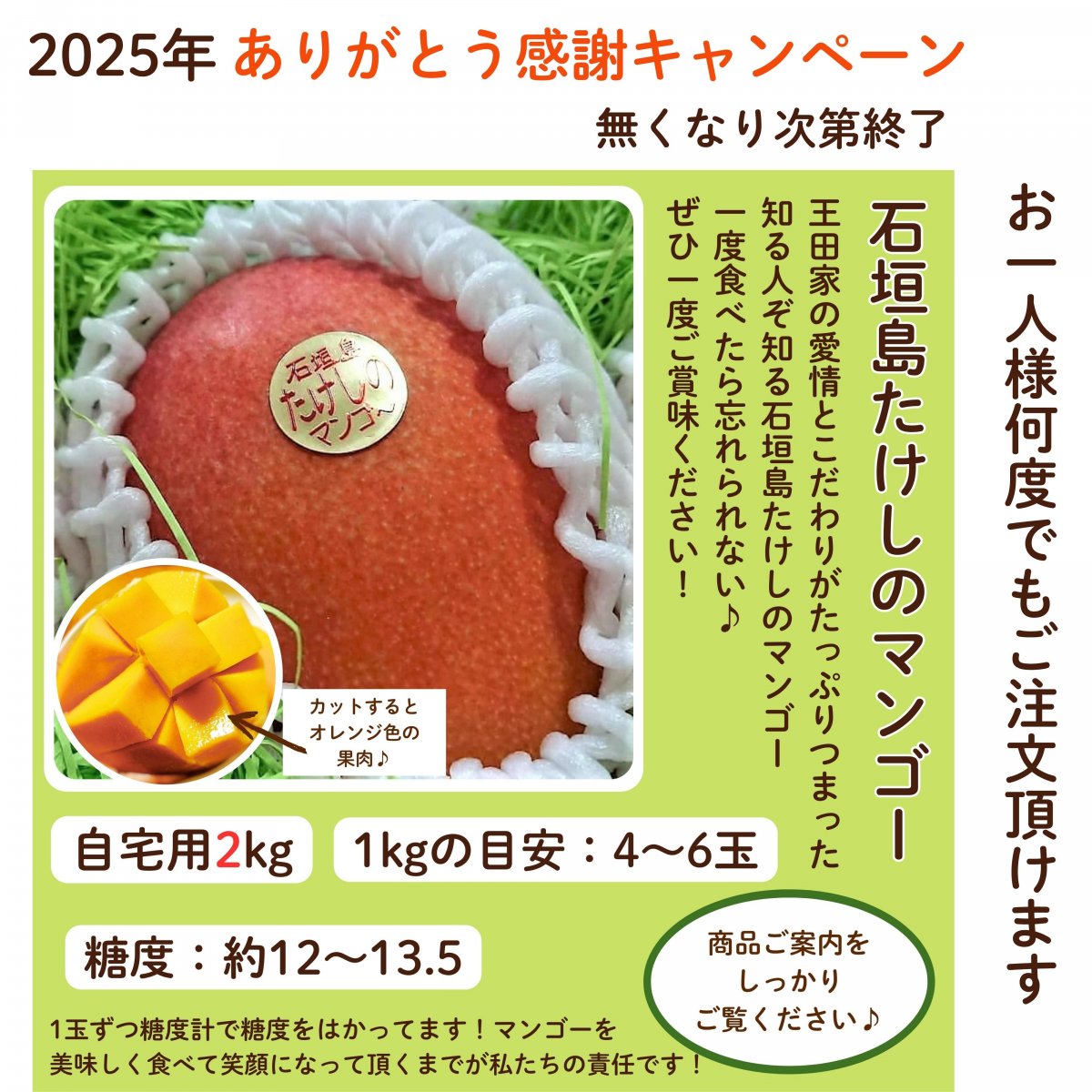 摘果マンゴー24キロ 摘果マンゴー24キロ