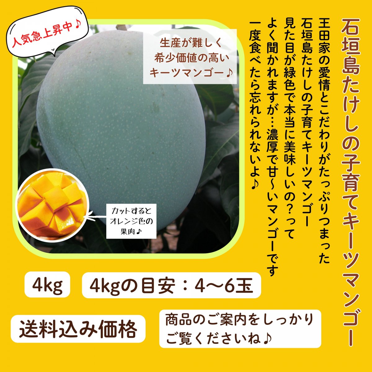 石垣島たけしのマンゴー 最高の笑顔を食卓にお届け♪｜ the mango company