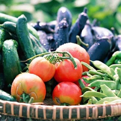 Y様野菜セット