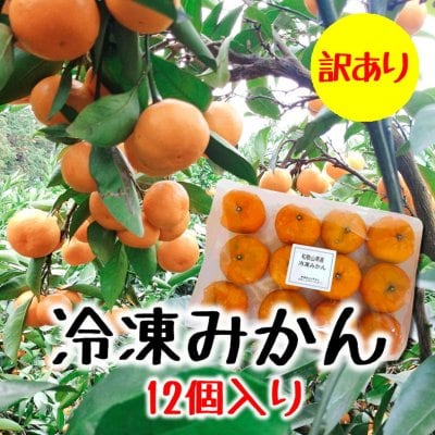 【訳あり処分/1個20円】和歌山県産冷凍みかん/12個/越季（こしき）