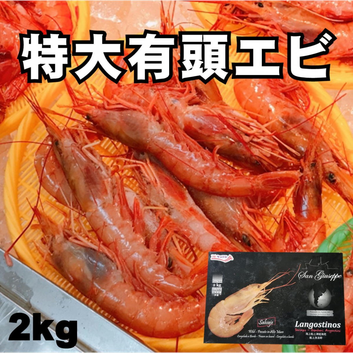 【業務用処分】特大有頭えび/アルゼンチン赤エビL1サイズ/25〜35尾/2kg/越季（こしき）