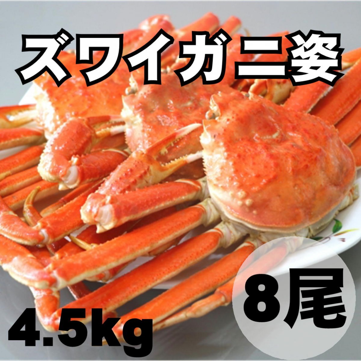 【訳あり処分】ズワイガニ姿/8尾/4.5kg/カナダ産/数量限定