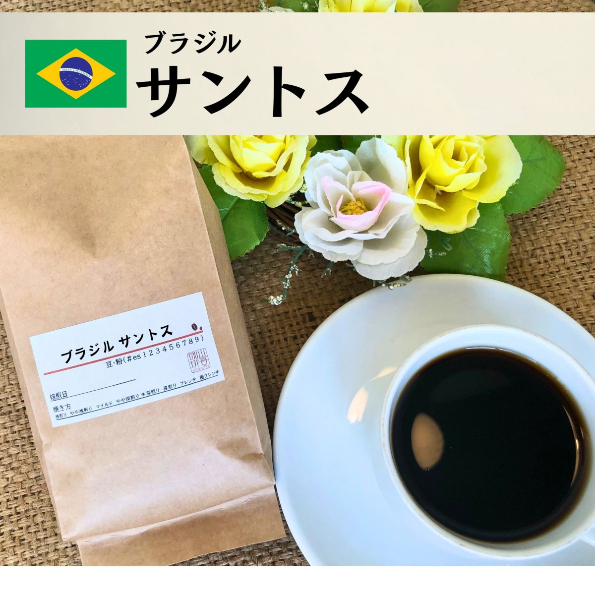 ブラジルサントスNO2