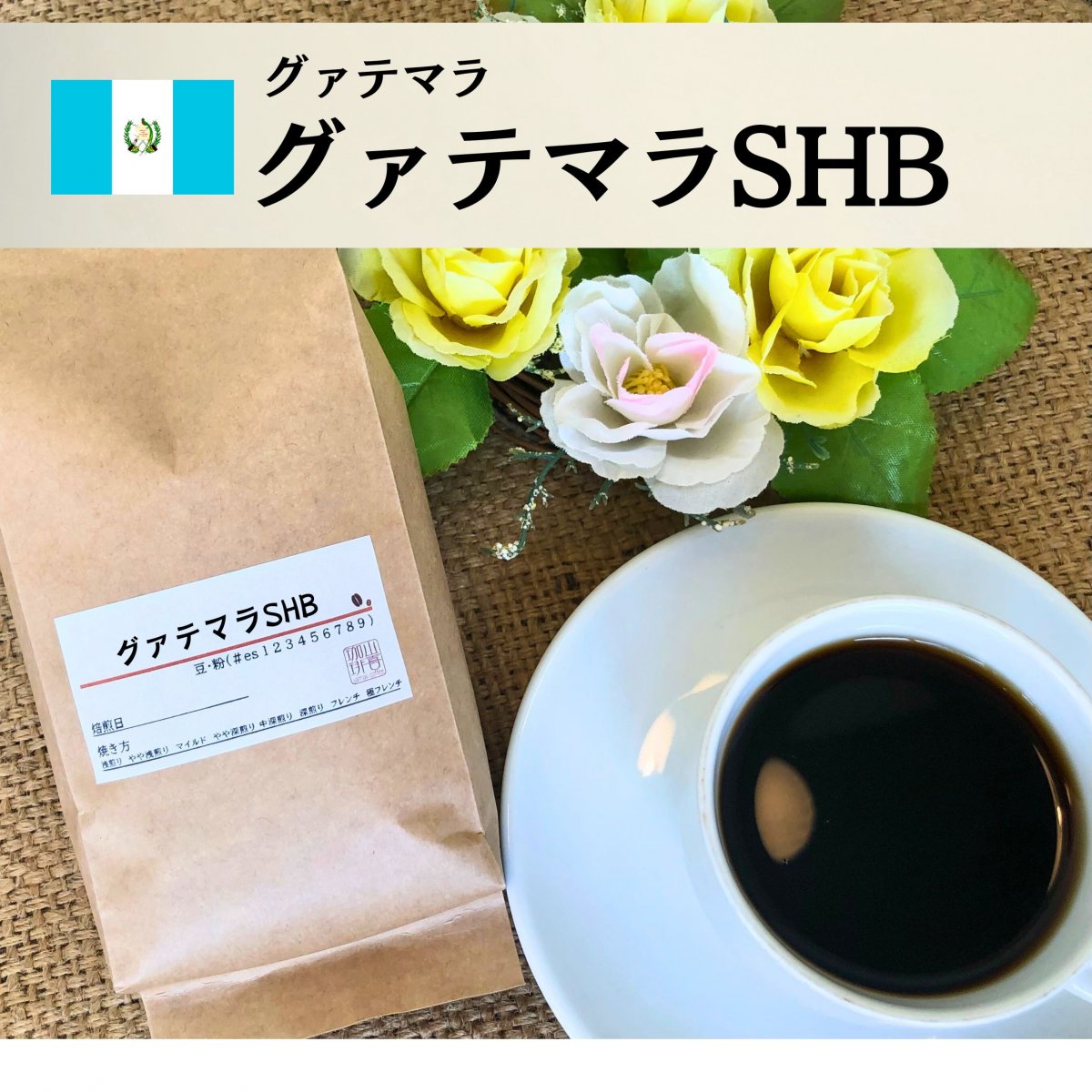 グァテマラSHB